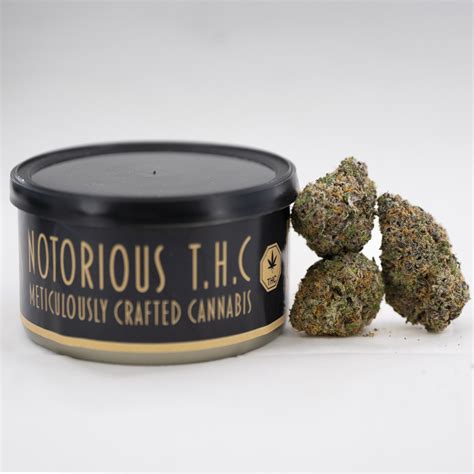 Notorious THC Craft